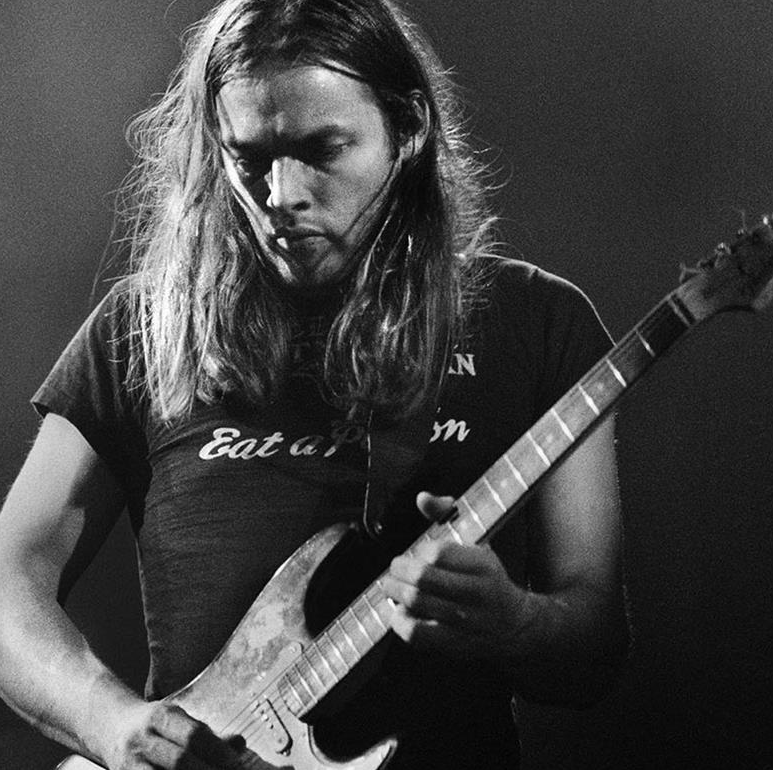 David Gilmour (Pink Floyd)